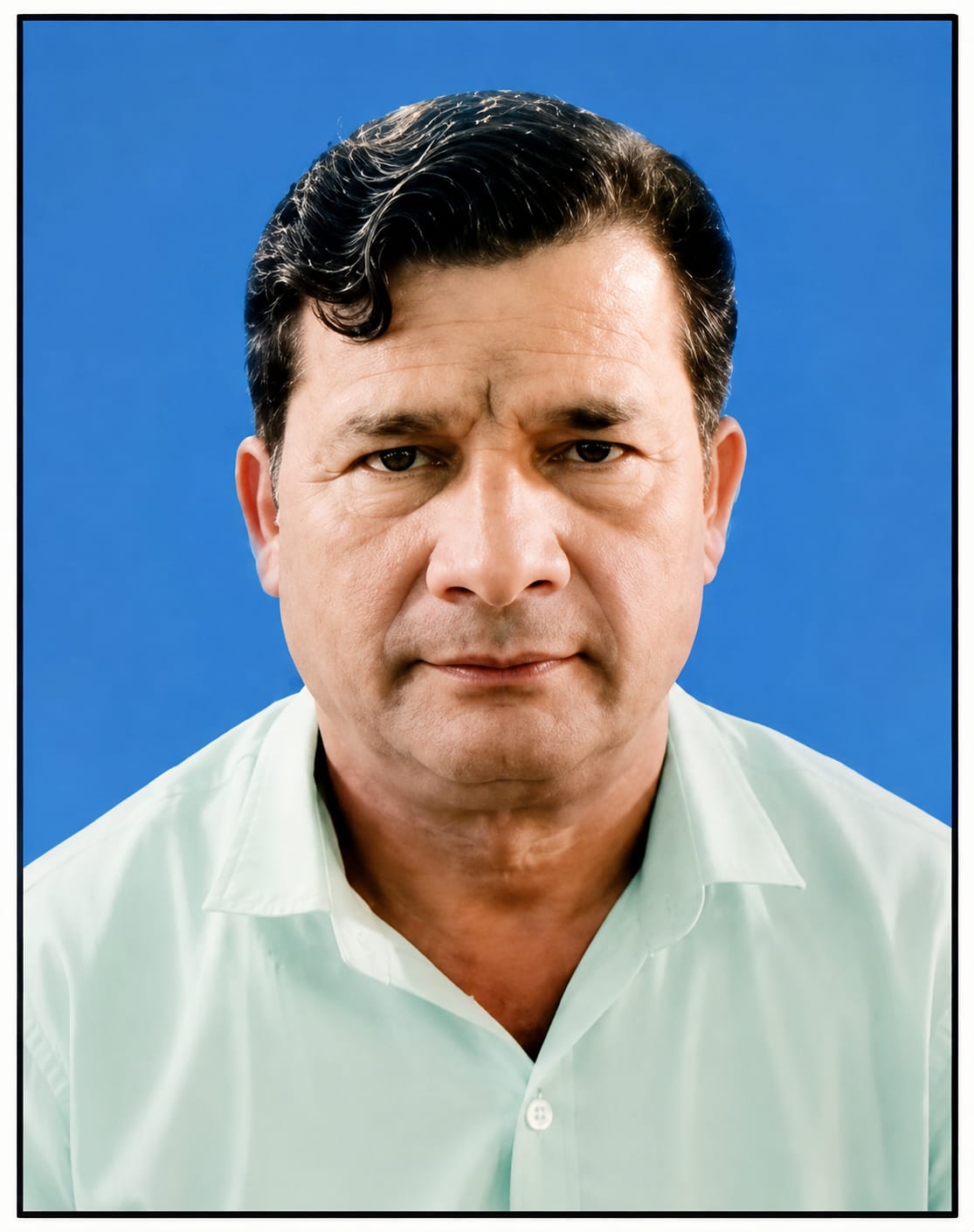 Vice President
